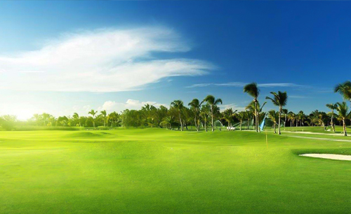 編制環(huán)評(píng)咨詢報(bào)告